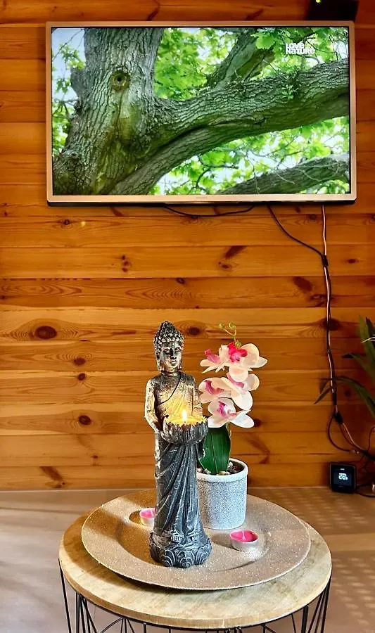 Buddha Style Family House & Jacuzzi & Sauna Near Amsterdam Vijfhuizen